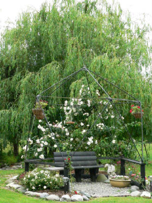 garden1.jpg