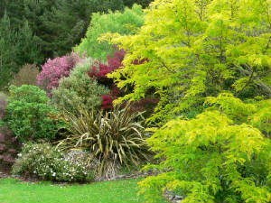 garden2.jpg