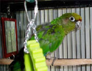 oscar09.jpg